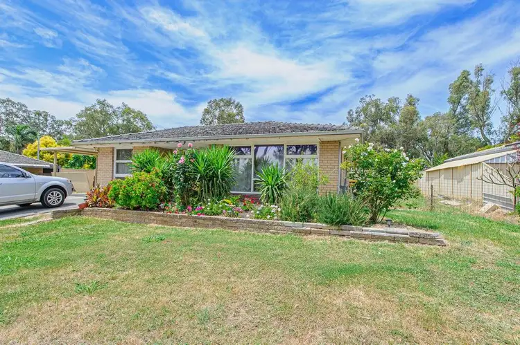 Third view of Homely house listing, 31 Wynne Street, Hazelmere WA 6055