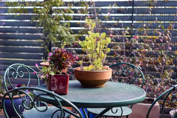 Third view of Homely apartment listing, 3/2 Adair Street, Scullin ACT 2614