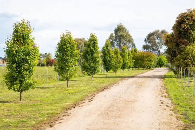 Fifth view of Homely house listing, 186 Perryman Lane, Table Top NSW 2640
