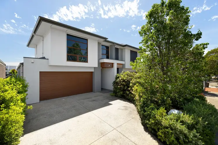 24 Wilkins Street, Glengowrie SA 5044
