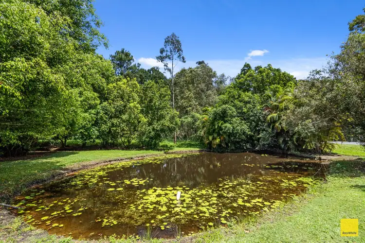 Fourth view of Homely rural property listing, 689 Boston Road, Chandler QLD 4155