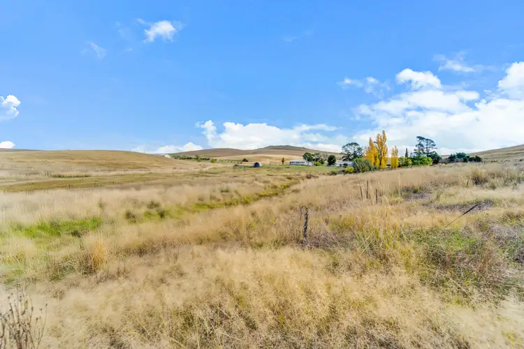Third view of Homely rural property listing, 466 Chakola Road, Chakola NSW 2630