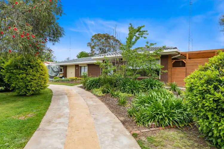 Main view of Homely house listing, 20 Phoenix Avenue, Clare SA 5453
