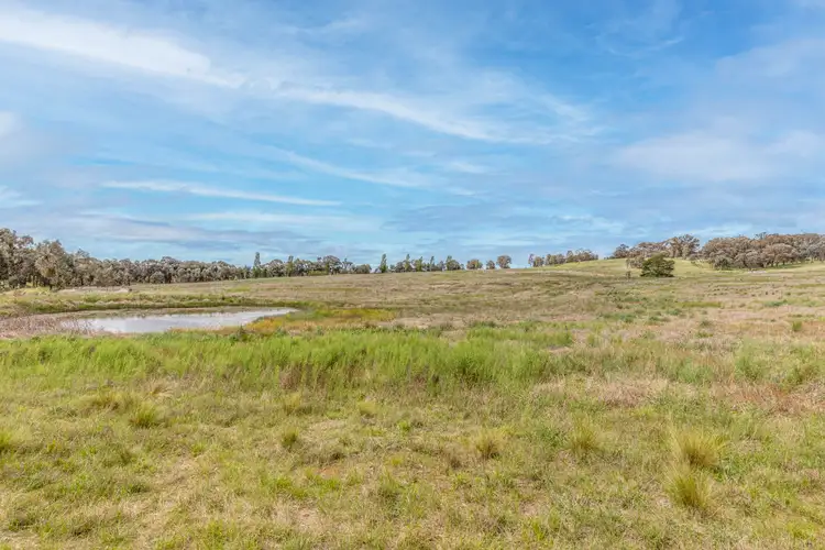 Fourth view of Homely rural property listing, 37 Lyons Road, Lyndhurst NSW 2797