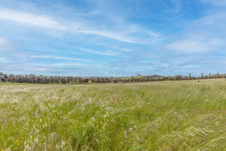 Fifth view of Homely rural property listing, 37 Lyons Road, Lyndhurst NSW 2797