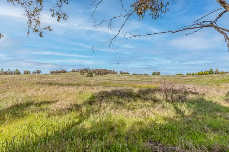 Sixth view of Homely rural property listing, 37 Lyons Road, Lyndhurst NSW 2797