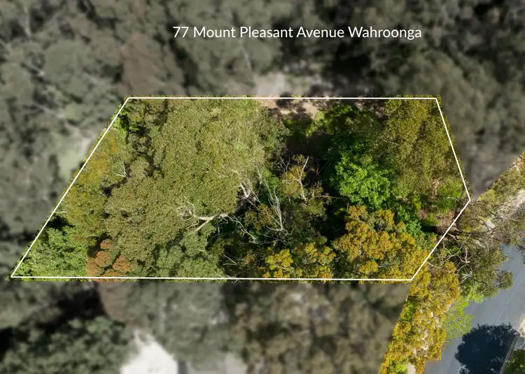 Main view of Homely house listing, 77 Mount Pleasant Avenue, Normanhurst NSW 2076