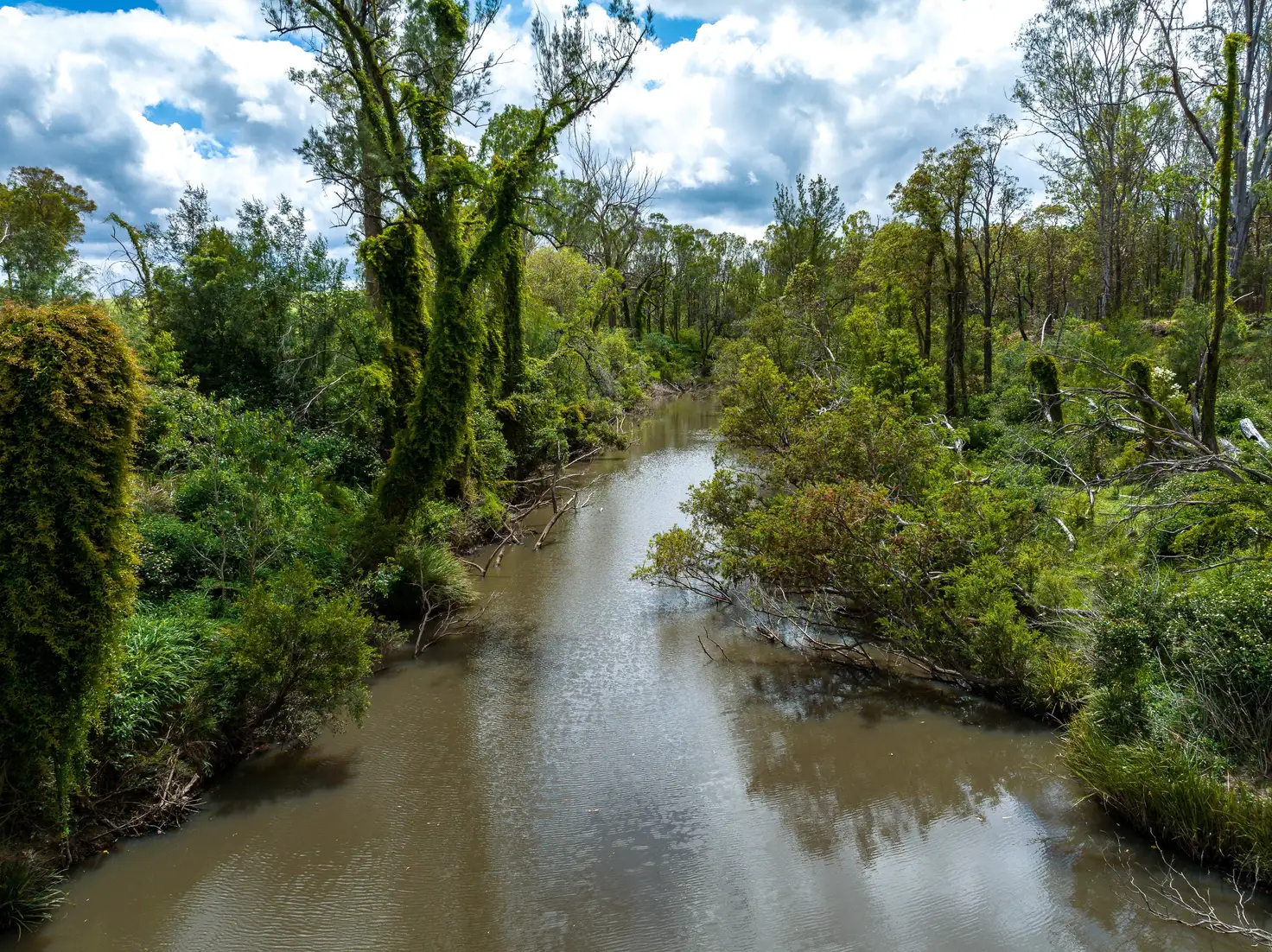 Main view of Homely rural property listing, Lot/11 Bruxner Highway, Tabulam NSW 2469