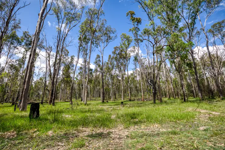 Seventh view of Homely rural property listing, Lot/11 Bruxner Highway, Tabulam NSW 2469