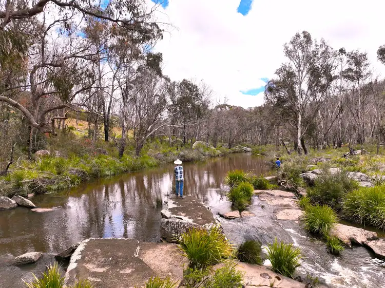488 Aqua Park Road, Mount Mitchell NSW 2365