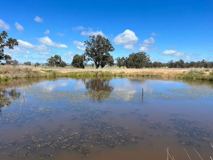 Main view of Homely rural property listing, 14317 Golden Highway, Leadville NSW 2844