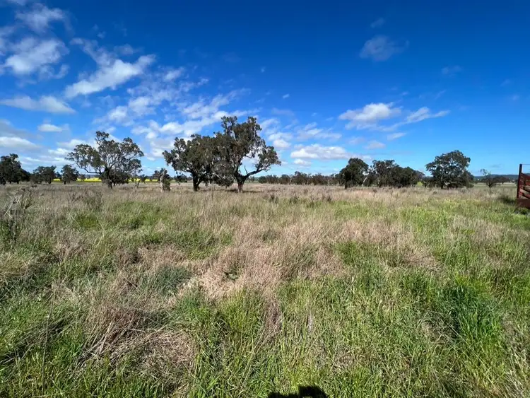 Third view of Homely rural property listing, 14317 Golden Highway, Leadville NSW 2844