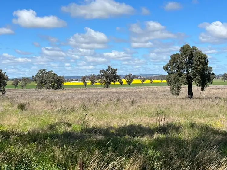 Fifth view of Homely rural property listing, 14317 Golden Highway, Leadville NSW 2844