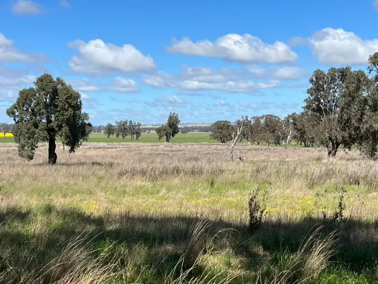 Sixth view of Homely rural property listing, 14317 Golden Highway, Leadville NSW 2844