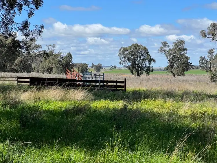 Seventh view of Homely rural property listing, 14317 Golden Highway, Leadville NSW 2844