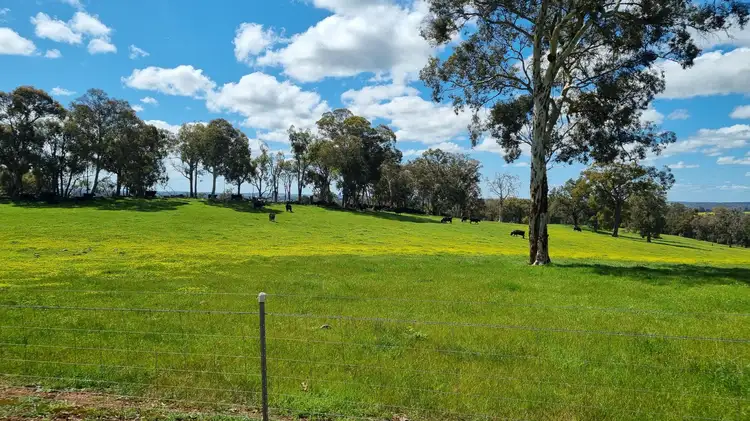 Main view of Homely rural property listing, Lot 5607/428 Boyup Brook - Kojonup Road, Scotts Brook WA 6244