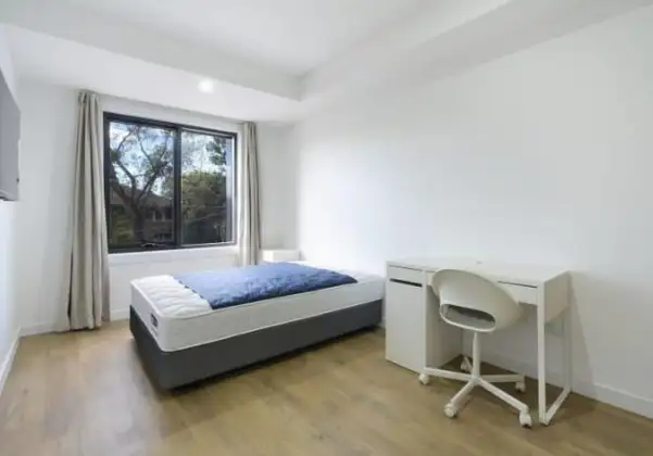Main view of Homely studio listing, 205/9-11 Lexington Place, Maroubra NSW 2035
