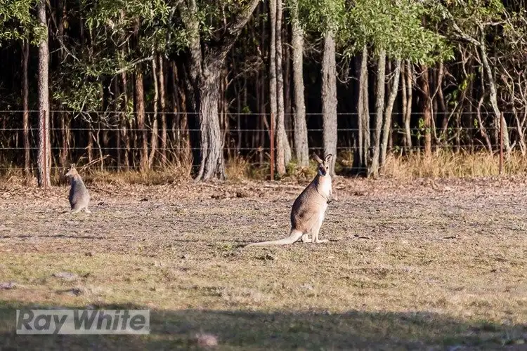 Sixth view of Homely rural property listing, Address available on request