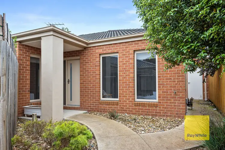 8A Lloyd Street, Belmont VIC 3216