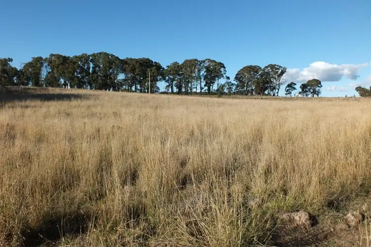 Sixth view of Homely rural property listing, 281 O'Connell Road, Oberon NSW 2787