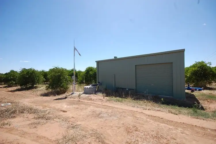 Second view of Homely rural property listing, Farm 78 Murray Road, Yoogali NSW 2680