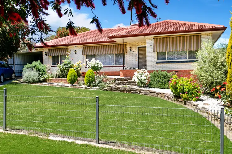 110 Elizabeth Street, Banksia Park SA 5091