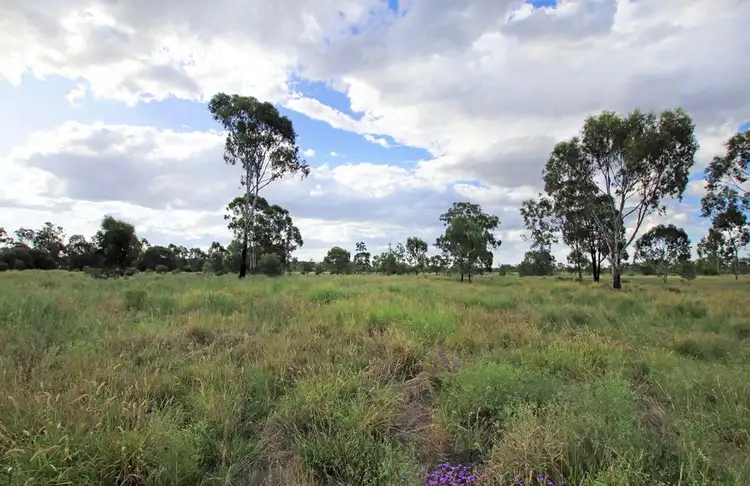 Seventh view of Homely rural property listing, 782 Floods Road, Dululu QLD 4702