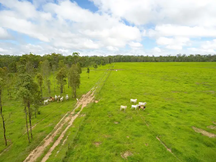 Seventh view of Homely rural property listing, 0 Gunnawarra Road, Gunnawarra QLD 4872
