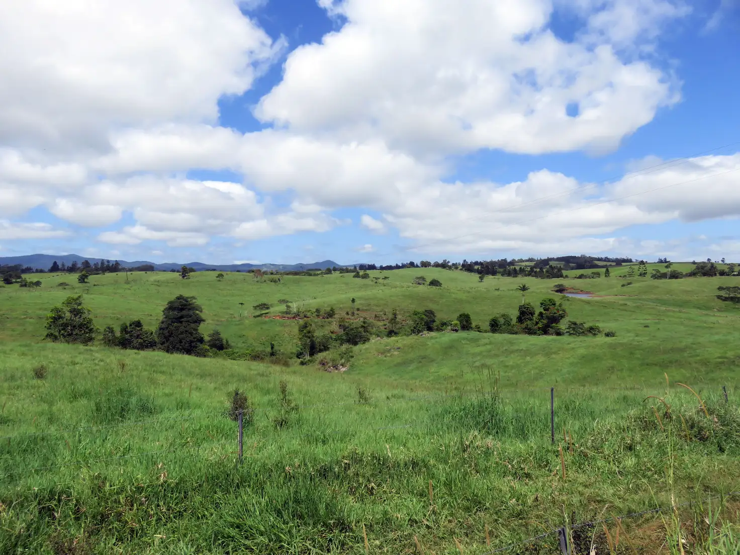 Main view of Homely rural property listing, 264 Palmerston Highway, Ellinjaa QLD 4886