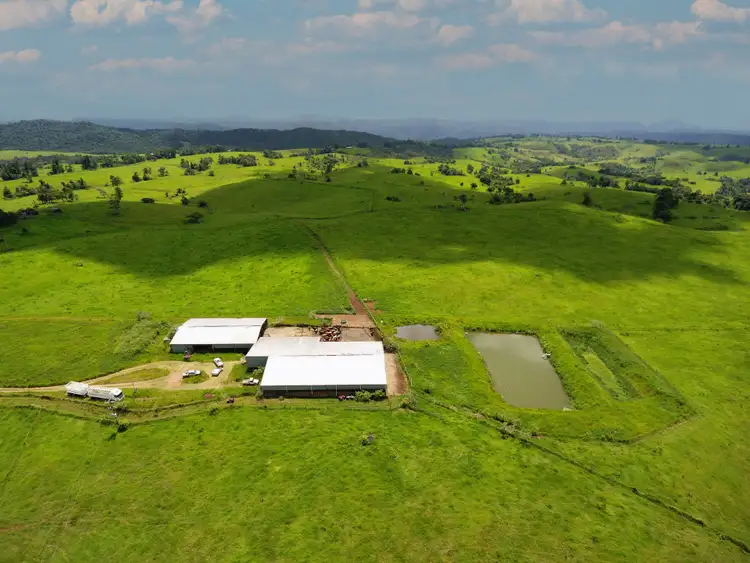 Second view of Homely rural property listing, 264 Palmerston Highway, Ellinjaa QLD 4886