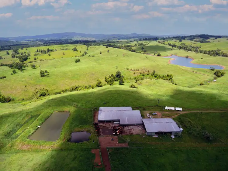 Third view of Homely rural property listing, 264 Palmerston Highway, Ellinjaa QLD 4886