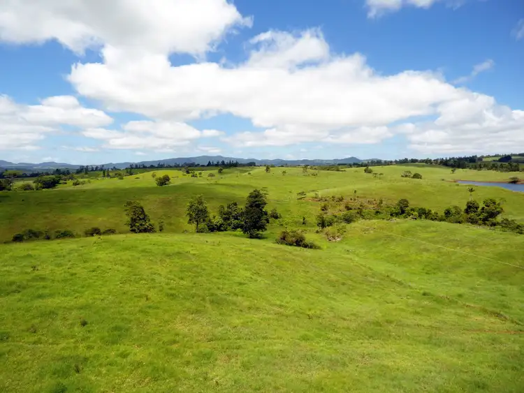 Fourth view of Homely rural property listing, 264 Palmerston Highway, Ellinjaa QLD 4886