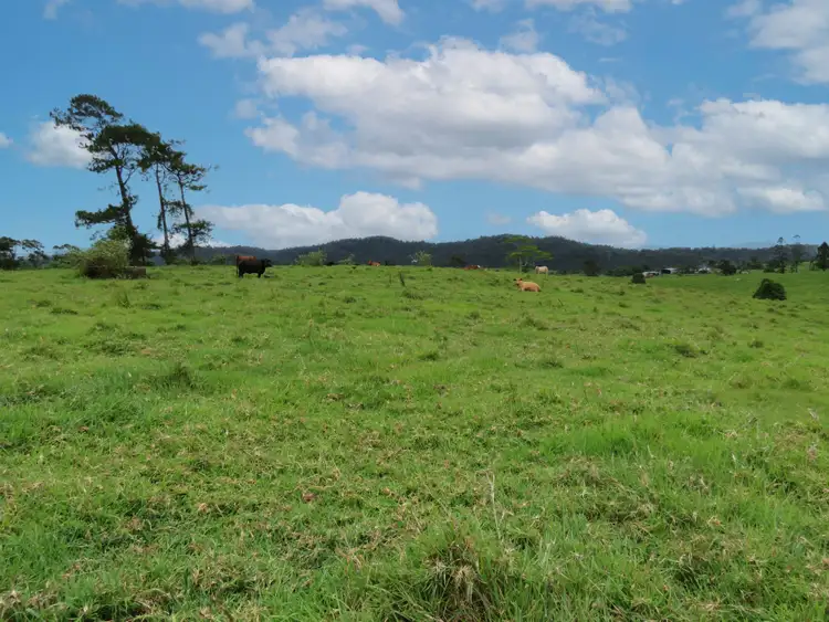 Sixth view of Homely rural property listing, 264 Palmerston Highway, Ellinjaa QLD 4886