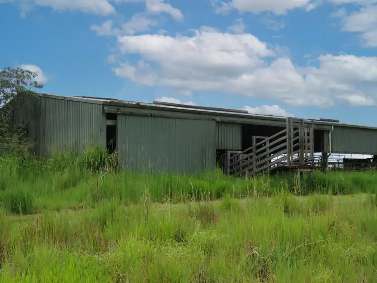 Seventh view of Homely rural property listing, 264 Palmerston Highway, Ellinjaa QLD 4886