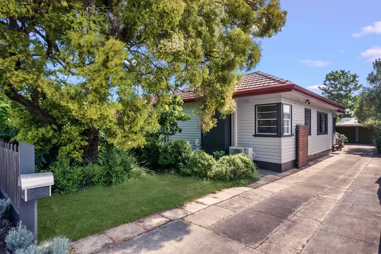 Main view of Homely house listing, 113 Augusta Street, Punchbowl NSW 2196