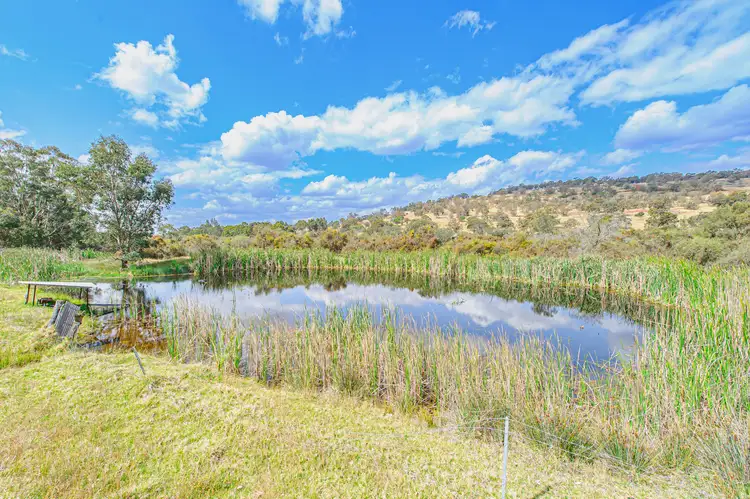 Main view of Homely house listing, 221 Pines Road, Wannamal WA 6505