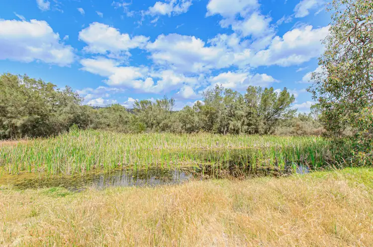 Fifth view of Homely house listing, 221 Pines Road, Wannamal WA 6505