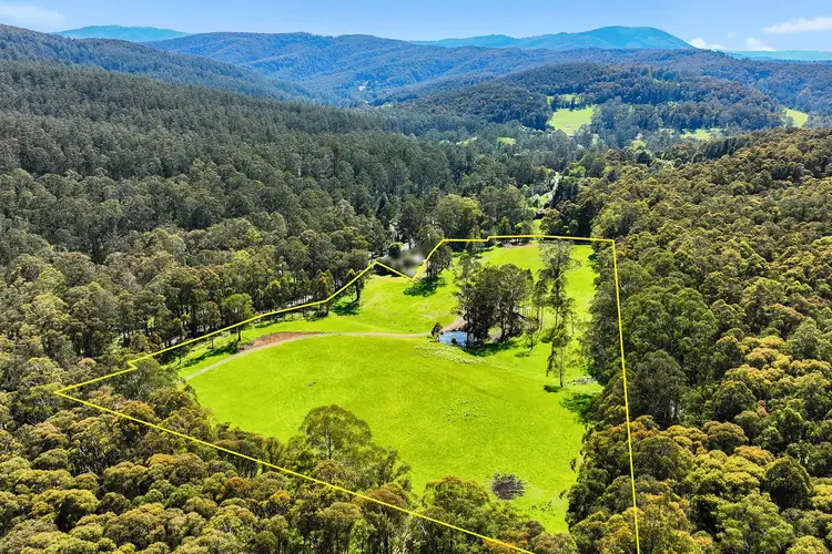 Fifth view of Homely land listing, 280 Mount Baw Baw Road, Noojee VIC 3833