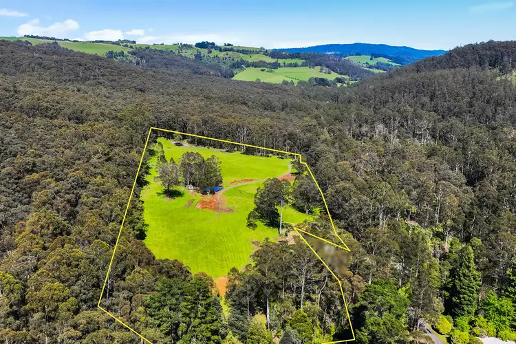 Sixth view of Homely land listing, 280 Mount Baw Baw Road, Noojee VIC 3833