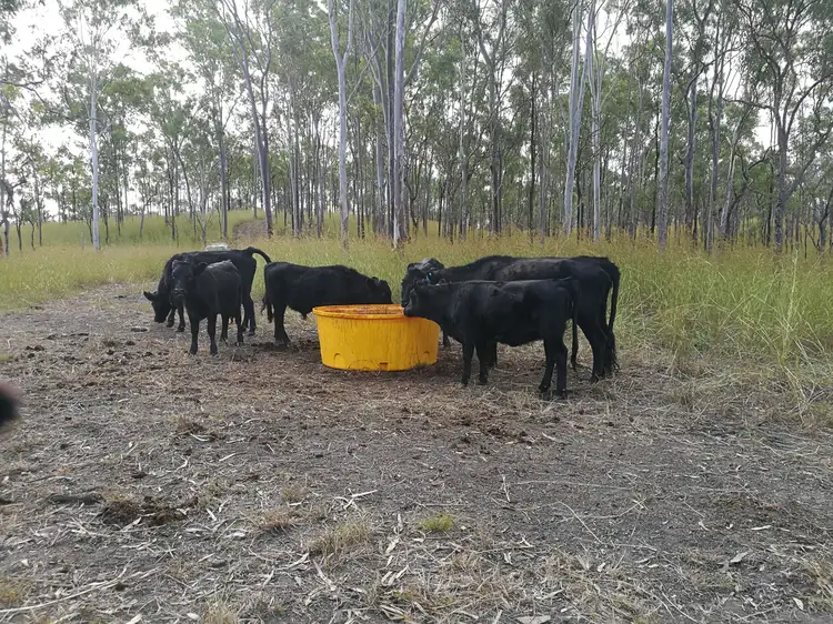 Third view of Homely land listing, LOT 1 Murray Road, Calliope QLD 4680