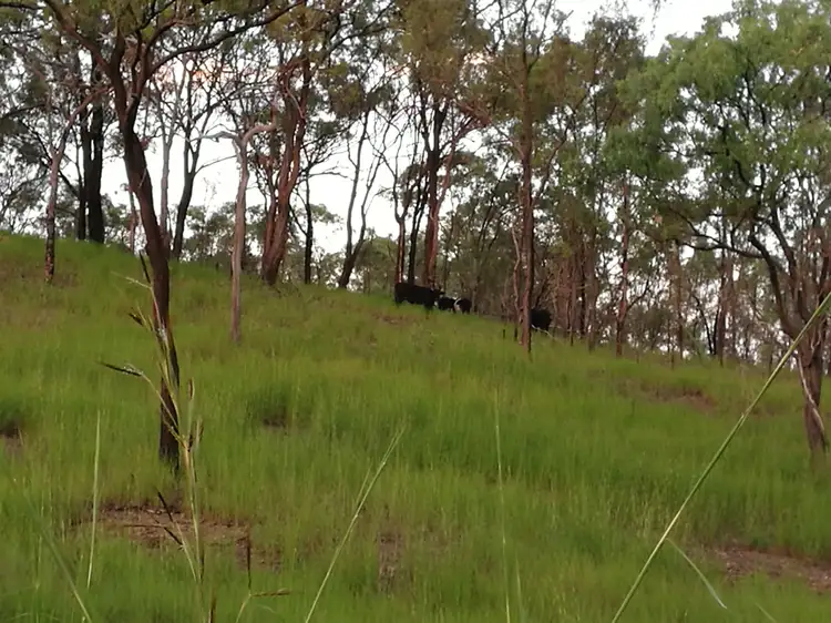 Fourth view of Homely land listing, LOT 1 Murray Road, Calliope QLD 4680