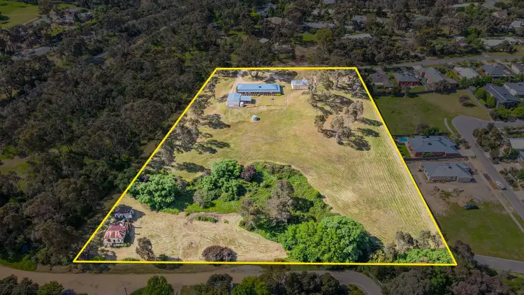 Second view of Homely house listing, 19 Macafee Road, Castlemaine VIC 3450