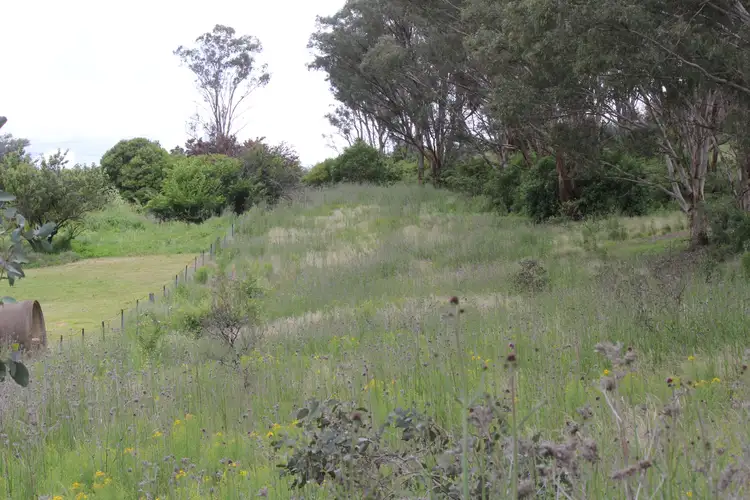 Main view of Homely land listing, 71 Mudgee Street, Sofala NSW 2795