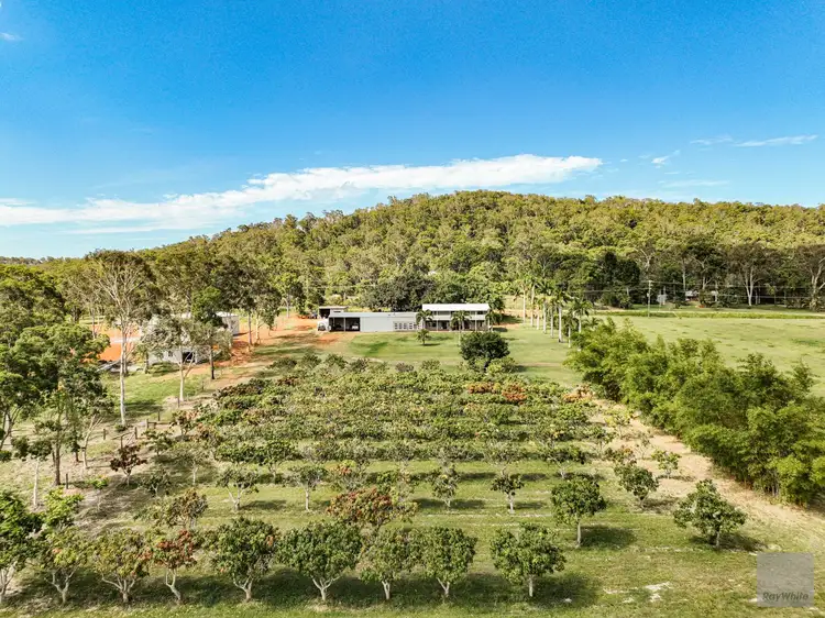 Fifth view of Homely house listing, 150 Woodvale Park Road, Adelaide Park QLD 4703