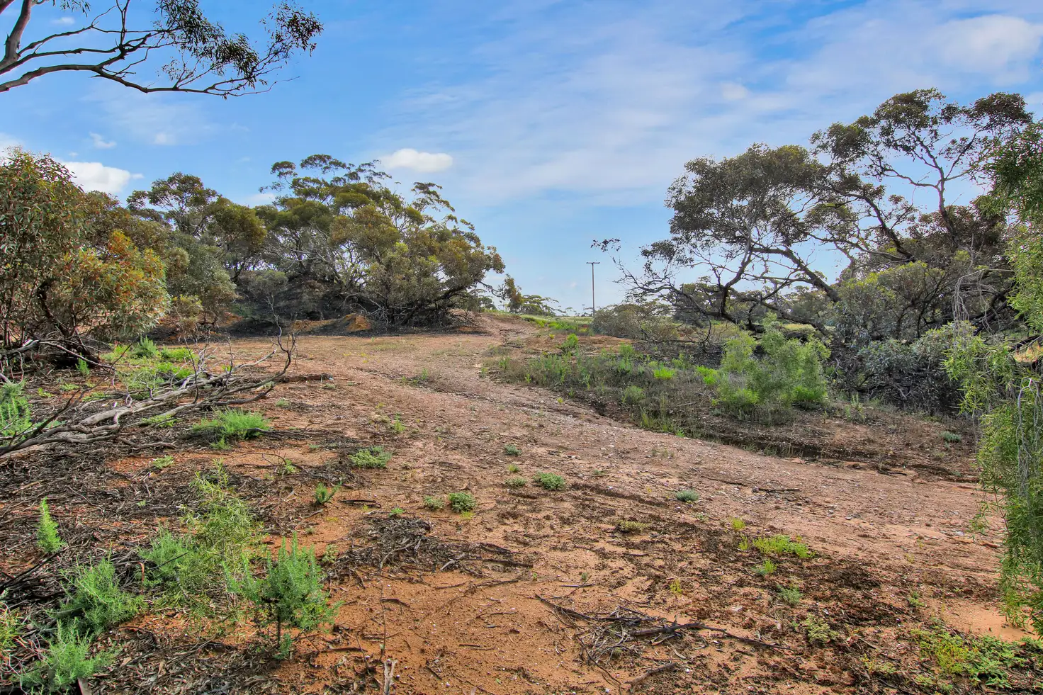 Main view of Homely land listing, 404 Kingston Road, Moorook SA 5332