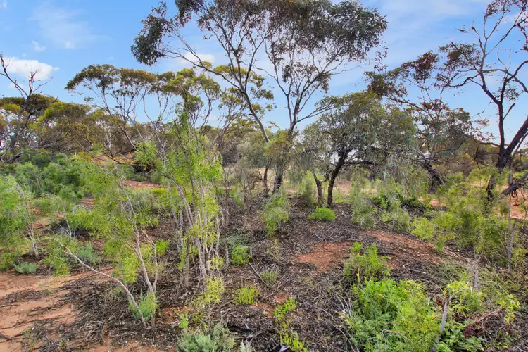 Second view of Homely land listing, 404 Kingston Road, Moorook SA 5332