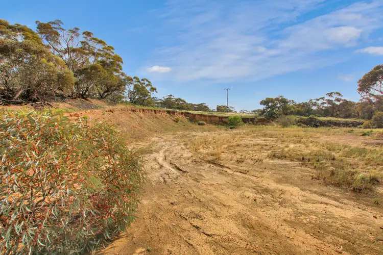 Fifth view of Homely land listing, 404 Kingston Road, Moorook SA 5332