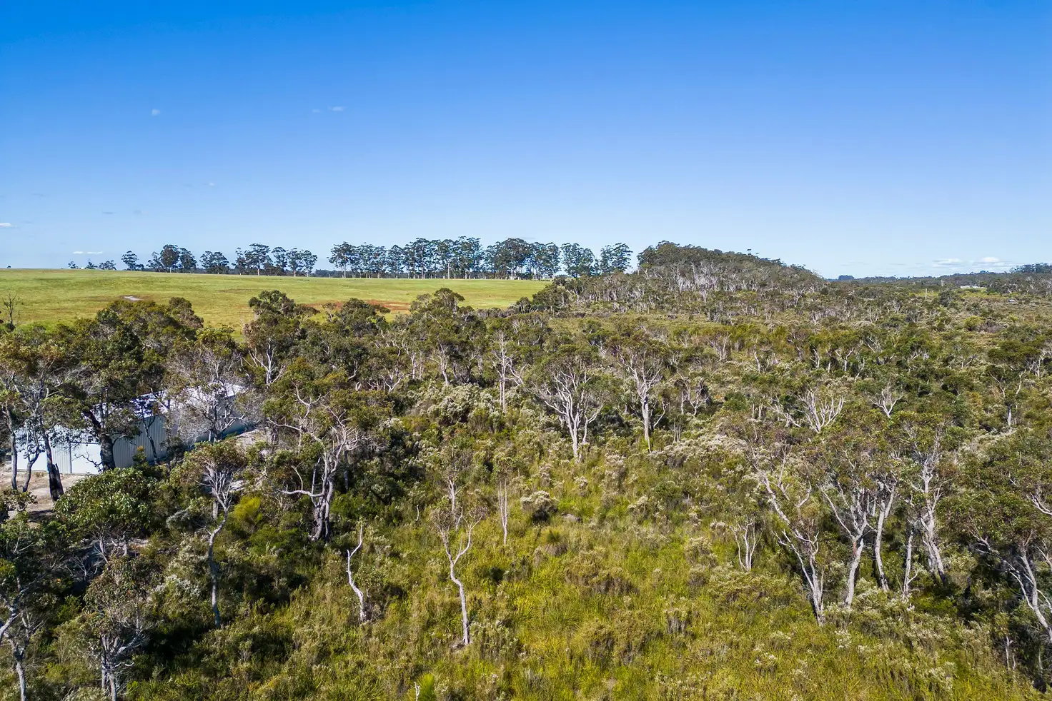 Main view of Homely rural property listing, Lot 2 Double Bridge Road, Northcliffe WA 6262