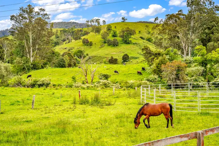 2081 Waukivory Road, Gloucester NSW 2422
