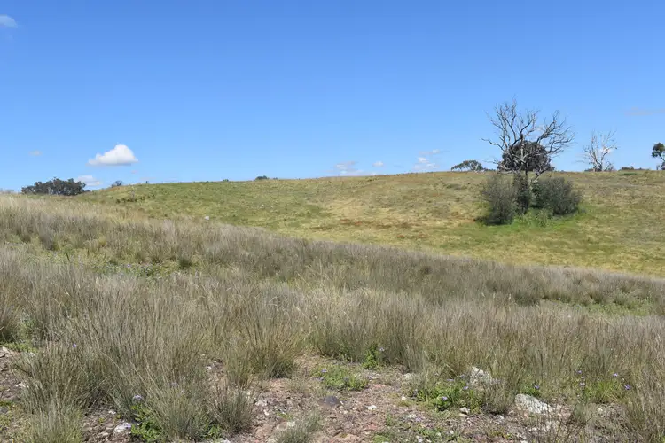 Third view of Homely rural property listing, 1268 Neurea Road, Mumbil NSW 2820